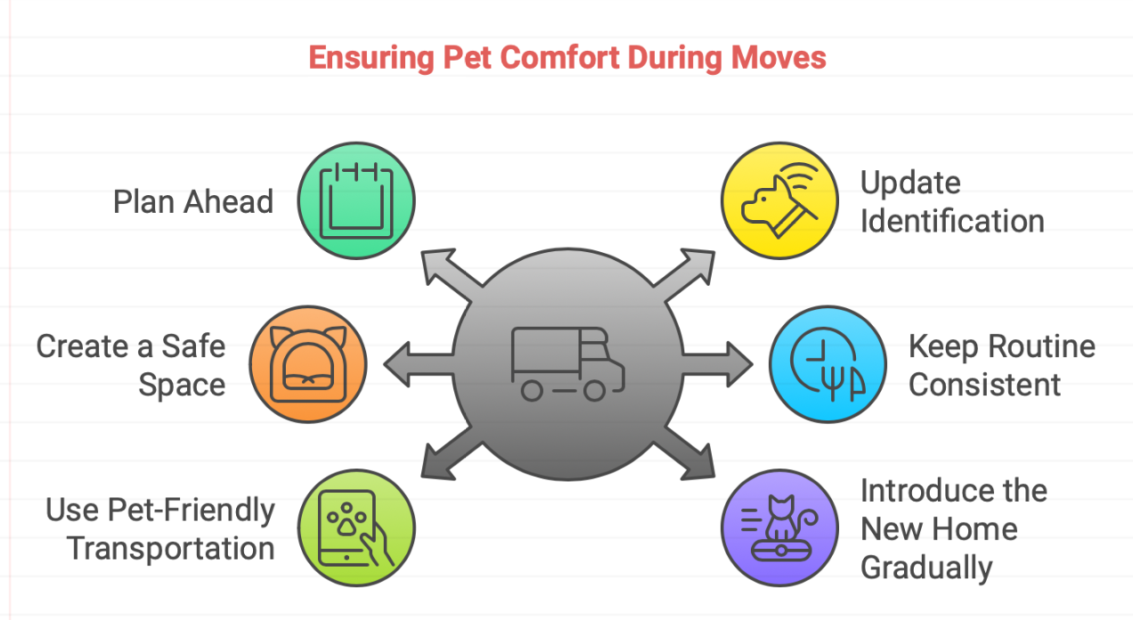 Tips and Tricks When Moving With Pets